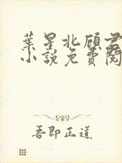 叶星北顾君逐的小说免费阅读封面