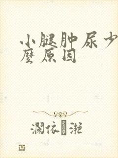 小腿肿尿少是什么原因