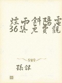 烟雨斜阳电视剧36集免费观看