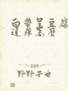 白带呈豆腐渣阴道痒怎么