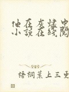 他在灰烬中告别小说在线阅读