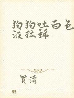 狗狗吐白色的黏液拉稀