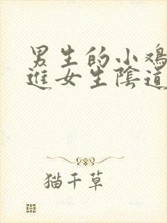 男生的小鸡鸡插进女生阴道里的视频