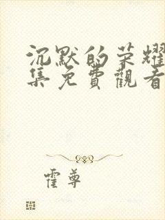 沉默的荣耀40集免费观看视频