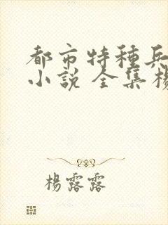 都市特种兵有声小说 全集杨洛