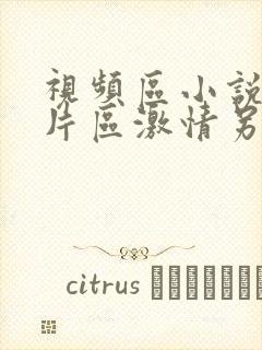 视频区小说区图片区激情另类