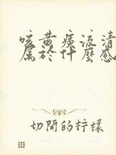 咳黄痰流清鼻涕属于什么感冒