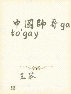 中国帅哥gayto'gay