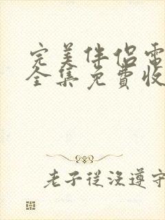 完美伴侣电视剧全集免费收看