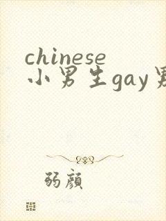 chinese小男生gay男男网站