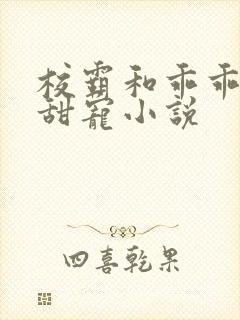 校霸和乖乖女的甜宠小说