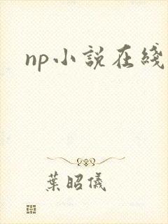 np小说在线h