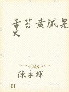 舌苔黄腻是哪的火