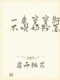 一岁宝宝断母乳不吃奶粉怎么办