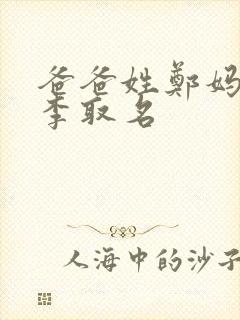 爸爸姓郑妈妈姓李取名封面