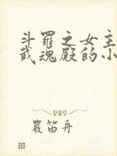 斗罗之女主加入武魂殿的小说封面