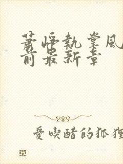 萧峥执掌风云超前最新章