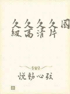 久久久久国产一级高清片