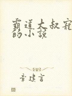 霸道大叔宠甜妻的小说