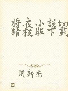 将夜小说txt精校版下载