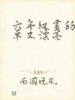 六年级画的画简单又漂亮封面