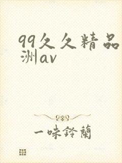 99久久精品亚洲av