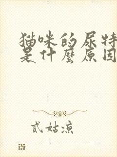 猫咪的尿特别黄是什么原因