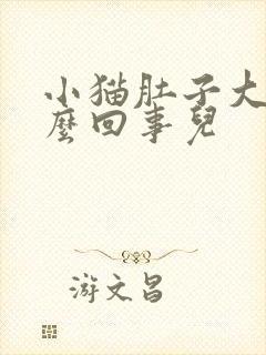 小猫肚子大是怎么回事儿