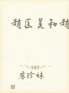 赵匡美和赵匡胤封面