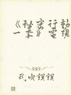 《秘密行动组第一季》电视剧免费观看