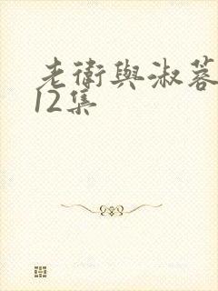 老卫与淑蓉1一12集