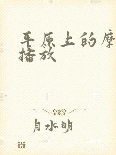 平原上的摩西 播放