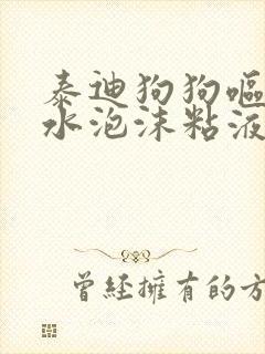 泰迪狗狗呕吐黄水泡沫粘液