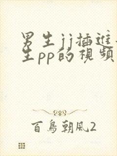 男生jj插进女生pp的视频