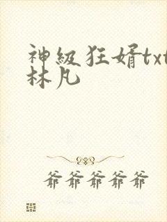 神级狂婿txt林凡