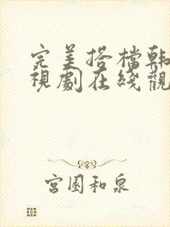 完美搭档韩剧电视剧在线观看全集