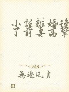 小说离婚后我成了前妻高攀不起的神