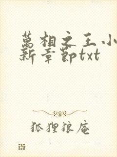 万相之王小说最新章节txt封面