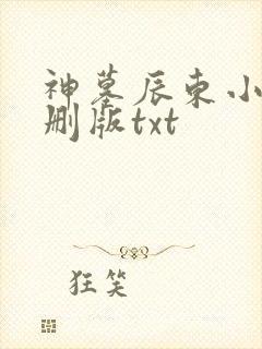 神墓辰东小说未删版txt