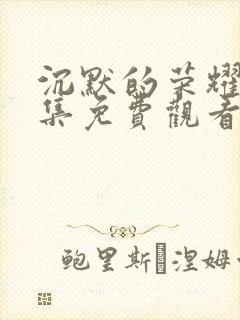 沉默的荣耀33集免费观看全集