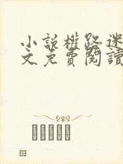 小说权路迷局全文免费阅读