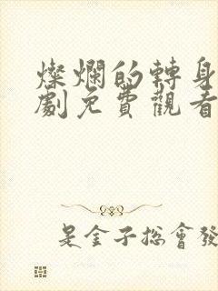 灿烂的转身电视剧免费观看全集