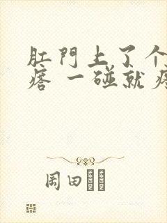 肛门上了个硬疙瘩 一碰就疼