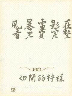 风暴电影在线观看免费完整版高清