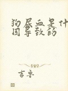 狗尿血是什么原因导致的