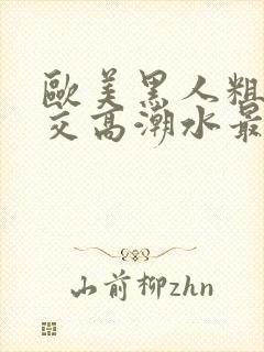 欧美黑人粗暴多交高潮水最多