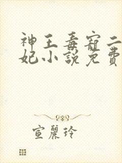 神王毒宠二嫁王妃小说免费阅读