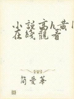 小说高h黄网站在线观看封面