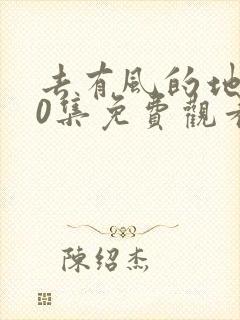 去有风的地方40集免费观看完整版