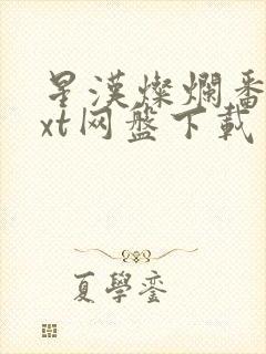 星汉灿烂番外txt网盘下载封面